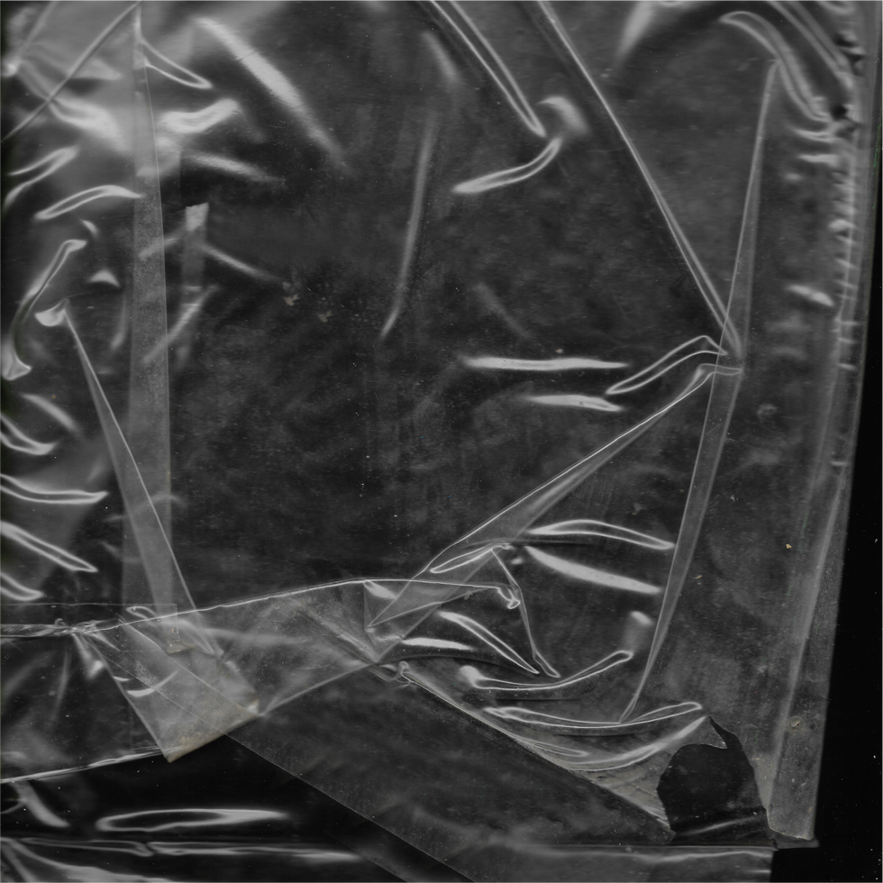 Bad Girl: феномен Билли Айлиш — певицы, экоактивистки и главного кумира молодежи (фото 4)