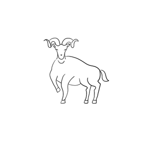 Предсказали звезды: Восточный гороскоп на 2025 год (фото 907)