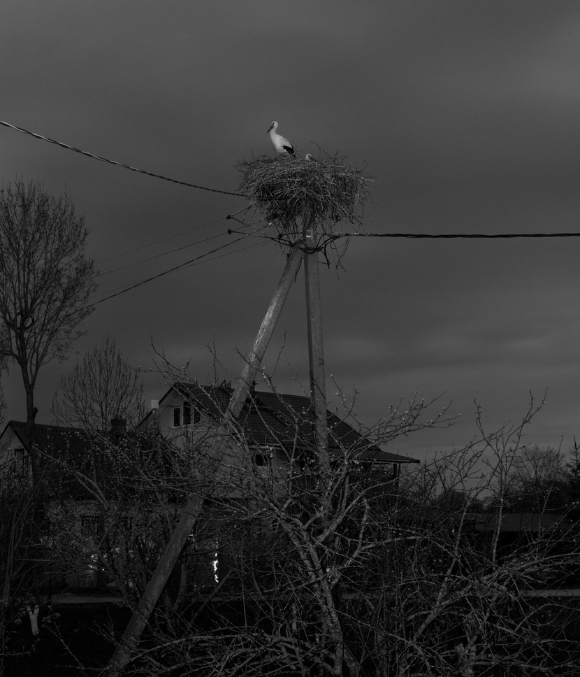 Громкие ярмарки, открытие «Гаража» и закрытие музея истории ГУЛАГа: арт-итоги 2024 года в 7 произведениях искусства (фото 6)