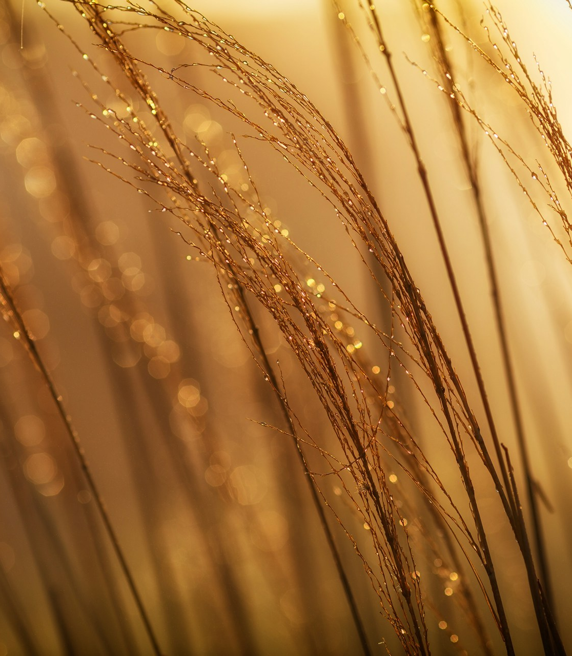 Goddess energy: тренд на золотой макияж греческой богини — носим как Хейли Бибер, Жизель Бундхен и Бекки Джи (фото 4)