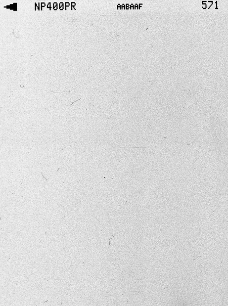 «Я хотел, чтобы это была и мыльная опера, и что-то такое, на что нельзя навесить ярлык»: почему все говорят об «Эмилии Перес» Жака Одиара (фото 4)