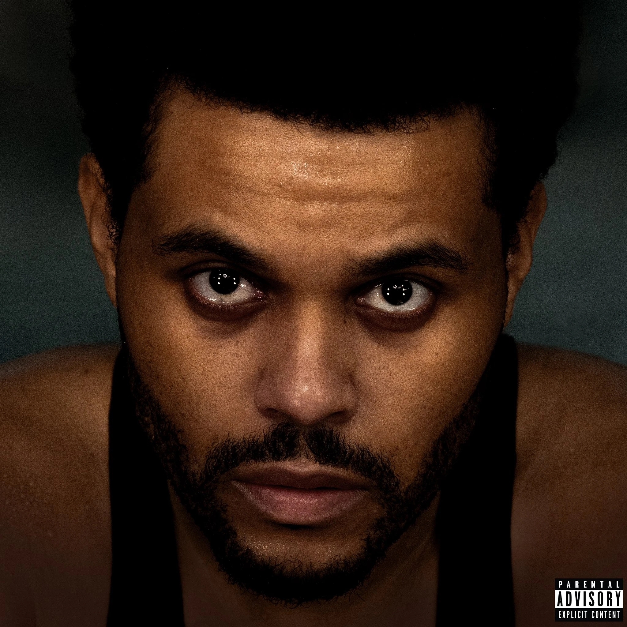 The Weeknd, Леди Гага и Пол Маккартни: чьи альбомы мы ждем в 2025 году (фото 3)