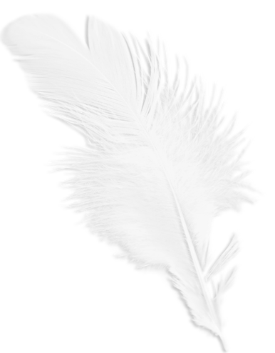 Мир через объектив Алены Чендлер — чем вдохновляют технологии (фото 12)