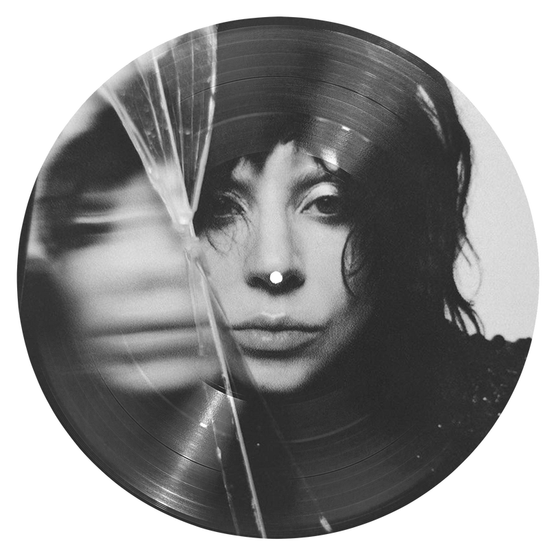 «Mother Monster»: феномен Леди Гаги — певицы, актрисы и иконы эпатажа (фото 69)