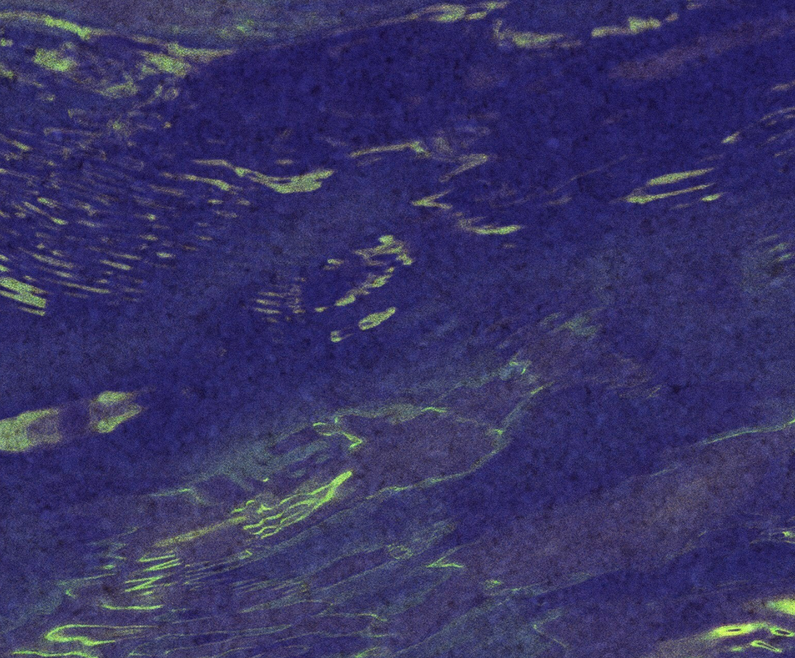 «Happy», «Alright» и «Rock Your Body»: за какие треки мир должен благодарить Фаррелла Уильямса (фото 16)