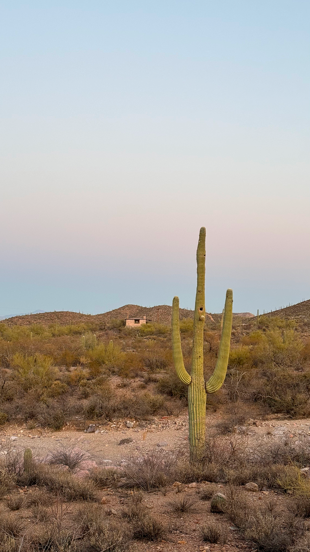 Точка на карте: Аризона — штат великих каньонов (фото 14)