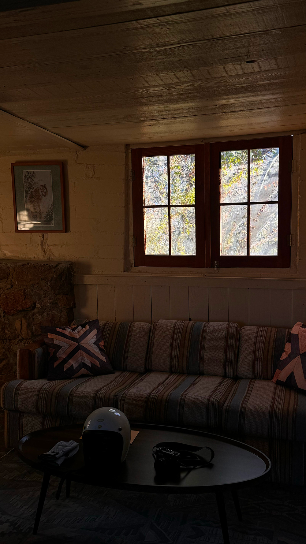 Точка на карте: Аризона — штат великих каньонов (фото 17)