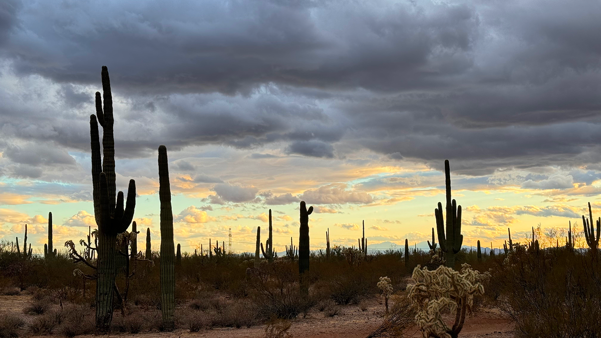Точка на карте: Аризона — штат великих каньонов (фото 11)