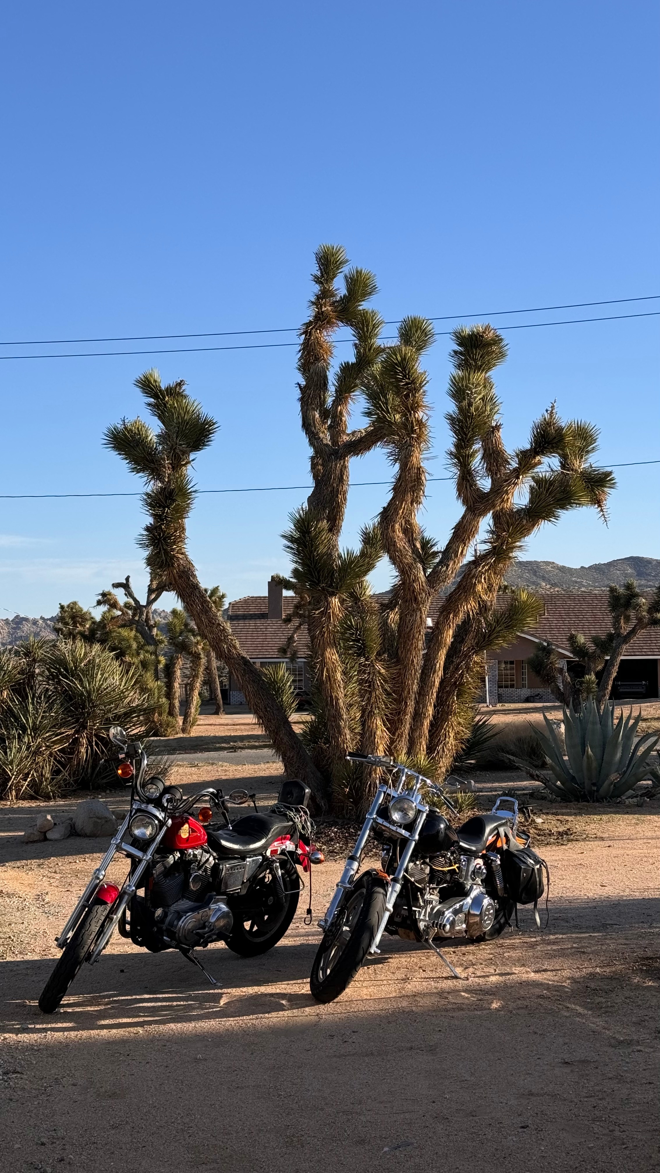 Точка на карте: Аризона — штат великих каньонов (фото 2)