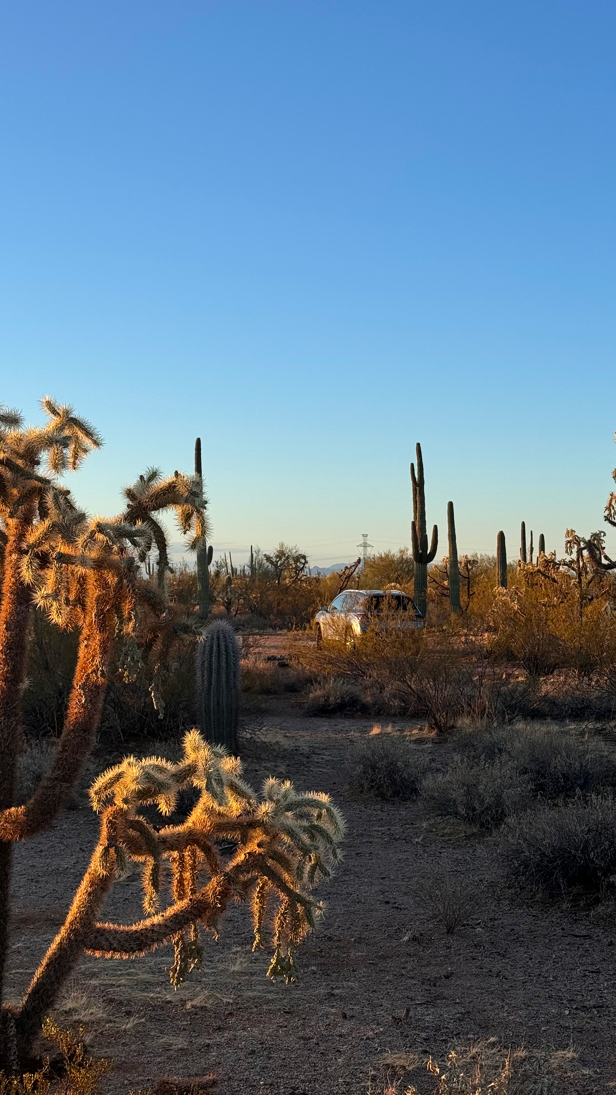 Точка на карте: Аризона — штат великих каньонов (фото 7)