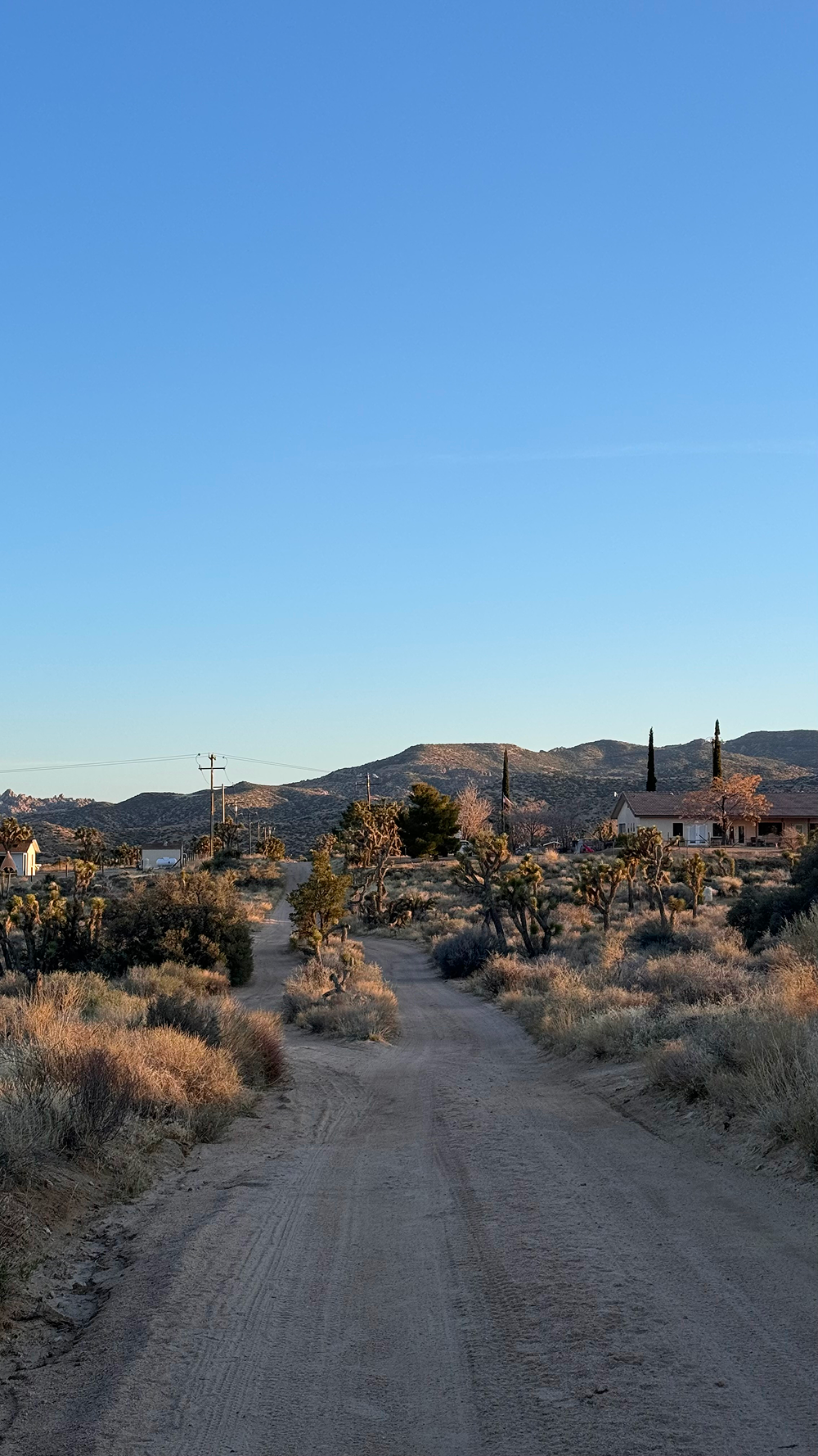 Точка на карте: Аризона — штат великих каньонов (фото 42)