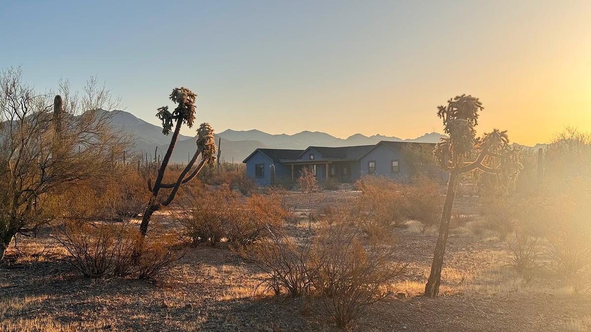 Точка на карте: Аризона — штат великих каньонов (фото 9)
