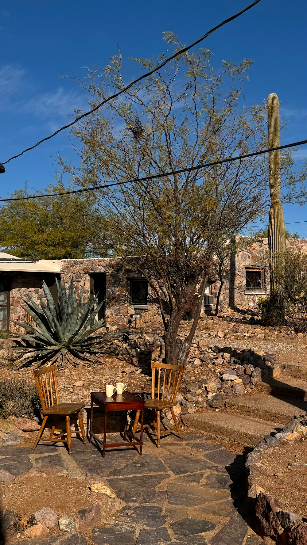 Точка на карте: Аризона — штат великих каньонов (фото 13)