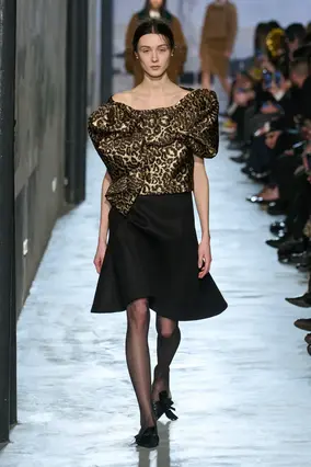 Горох, виши и питон: главные принты 2025-2026 (фото 52)