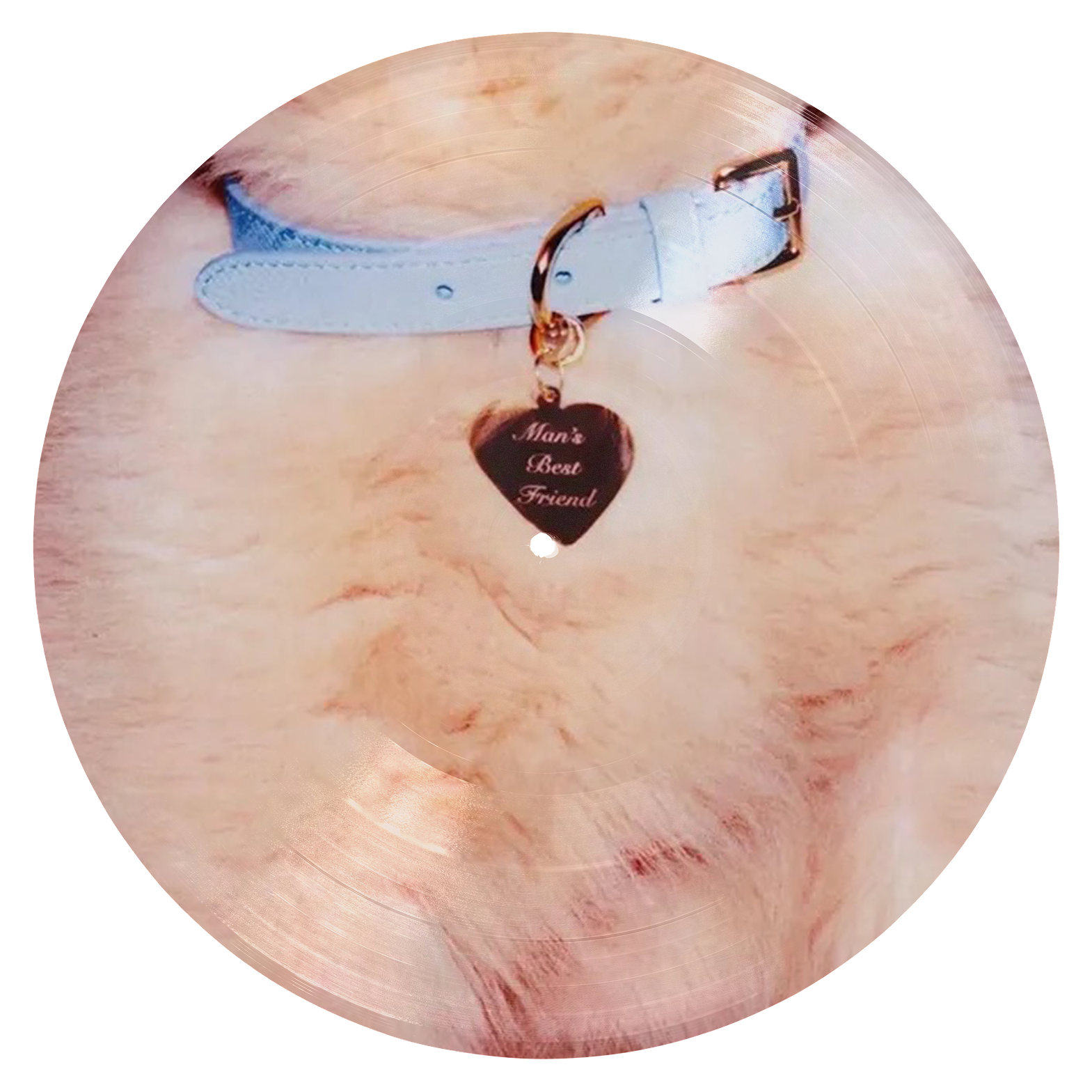 От звезды Disney до поп-иконы: феномен успеха Сабрины Карпентер — певицы и подруги Тейлор Свифт (фото 47)