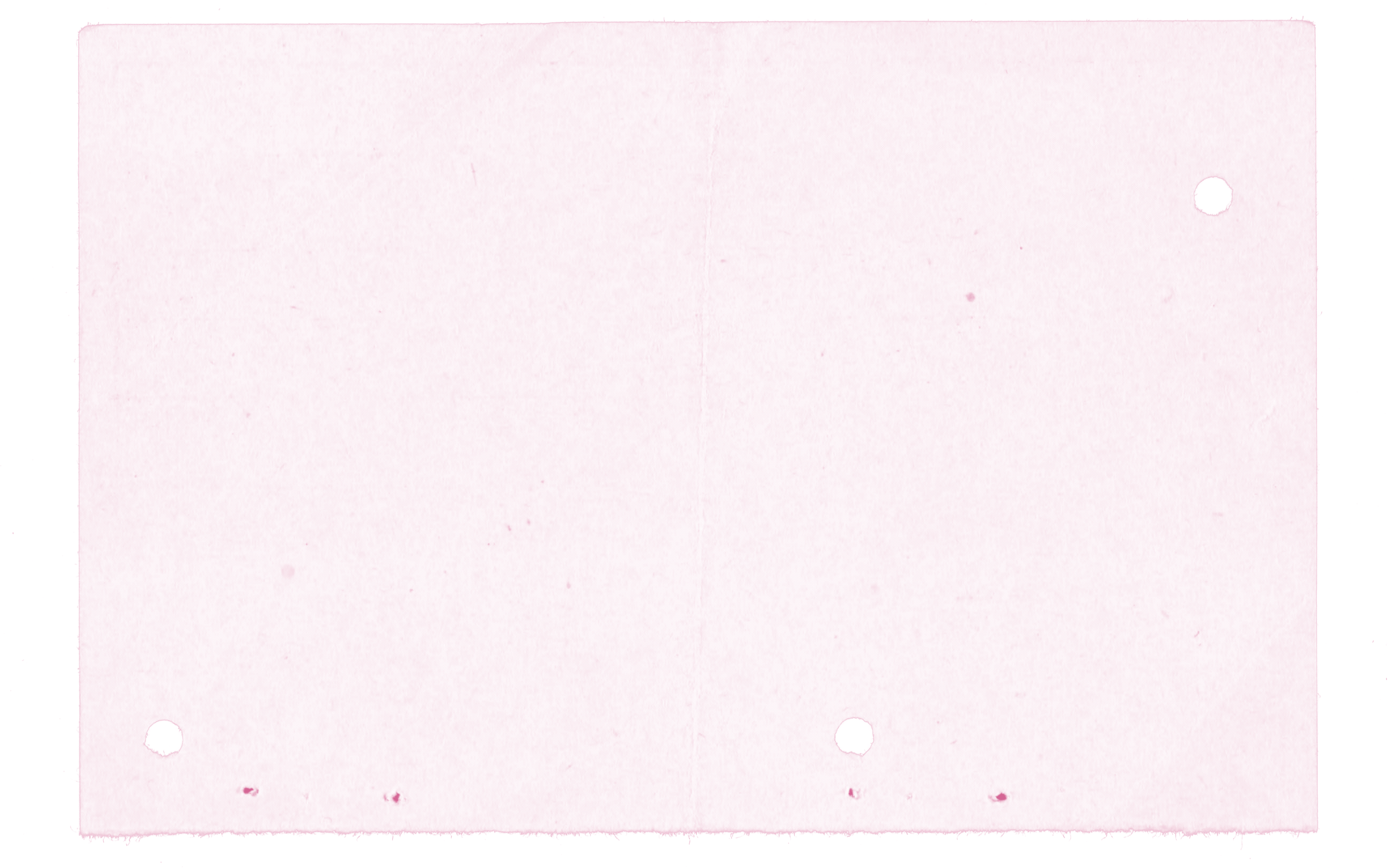 От звезды Disney до поп-иконы: феномен успеха Сабрины Карпентер — певицы и подруги Тейлор Свифт (фото 3)