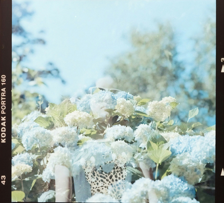 Дизайнер, дочь великого художника и муза Сен-Лорана: почему нам нравится Палома Пикассо (фото 19)