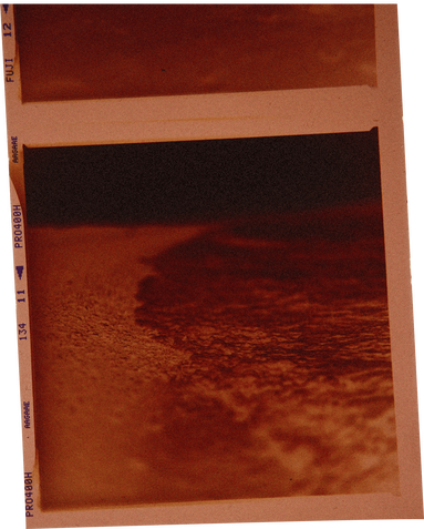 Дизайнер, дочь великого художника и муза Сен-Лорана: почему нам нравится Палома Пикассо (фото 17)