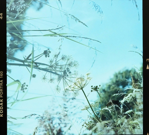 Дизайнер, дочь великого художника и муза Сен-Лорана: почему нам нравится Палома Пикассо (фото 5)