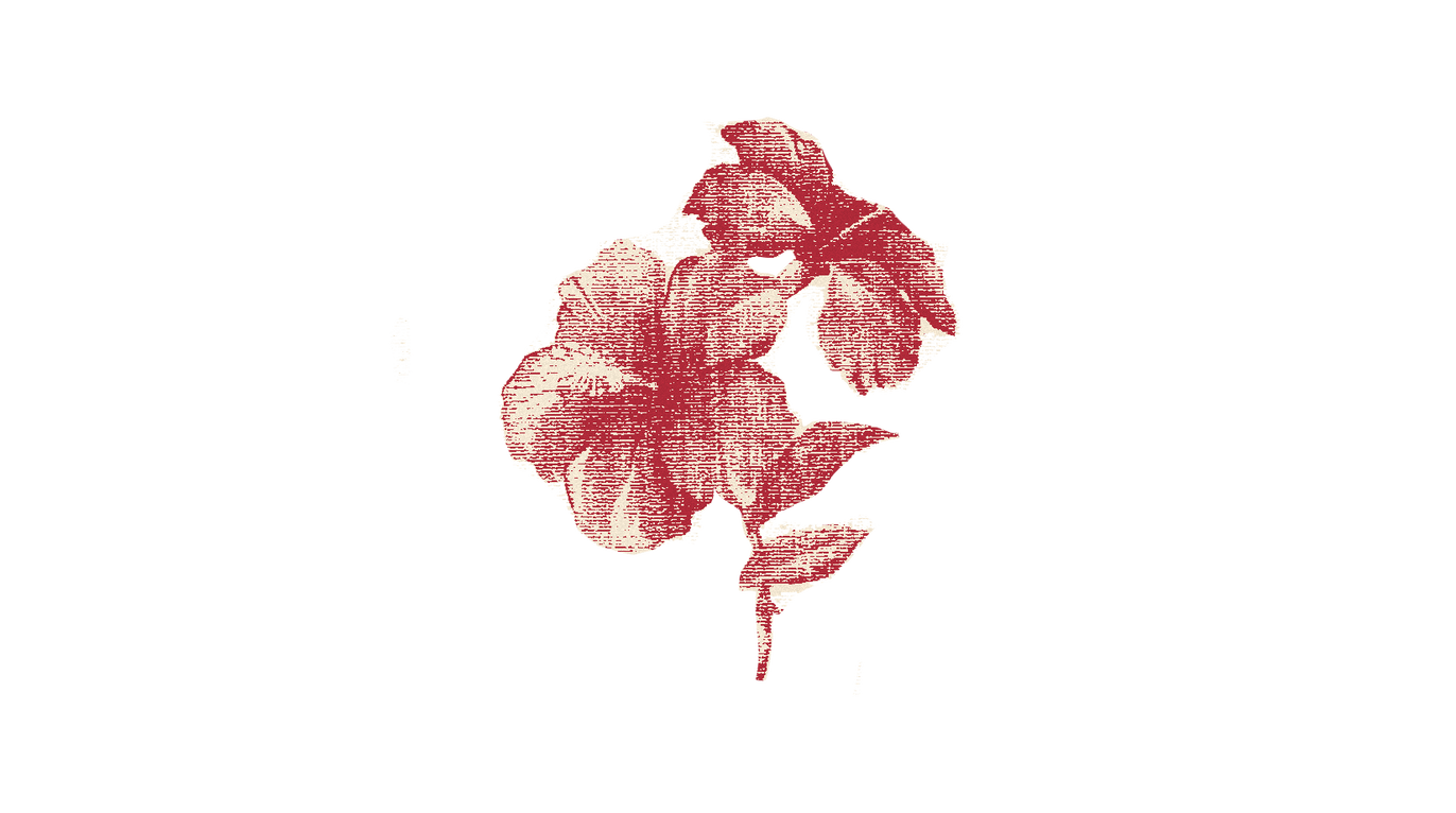 Точка на карте: Таиланд по следам третьего сезона «Белого лотоса» (фото 21)