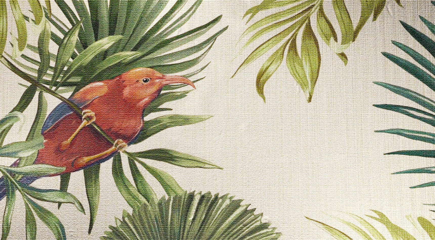 Точка на карте: Таиланд по следам третьего сезона «Белого лотоса» (фото 42)