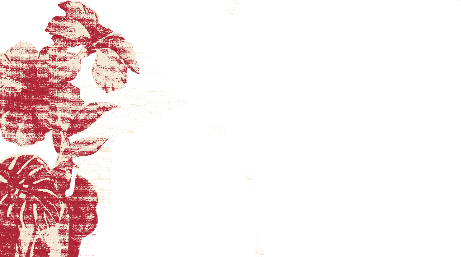 Точка на карте: Таиланд по следам третьего сезона «Белого лотоса» (фото 22)