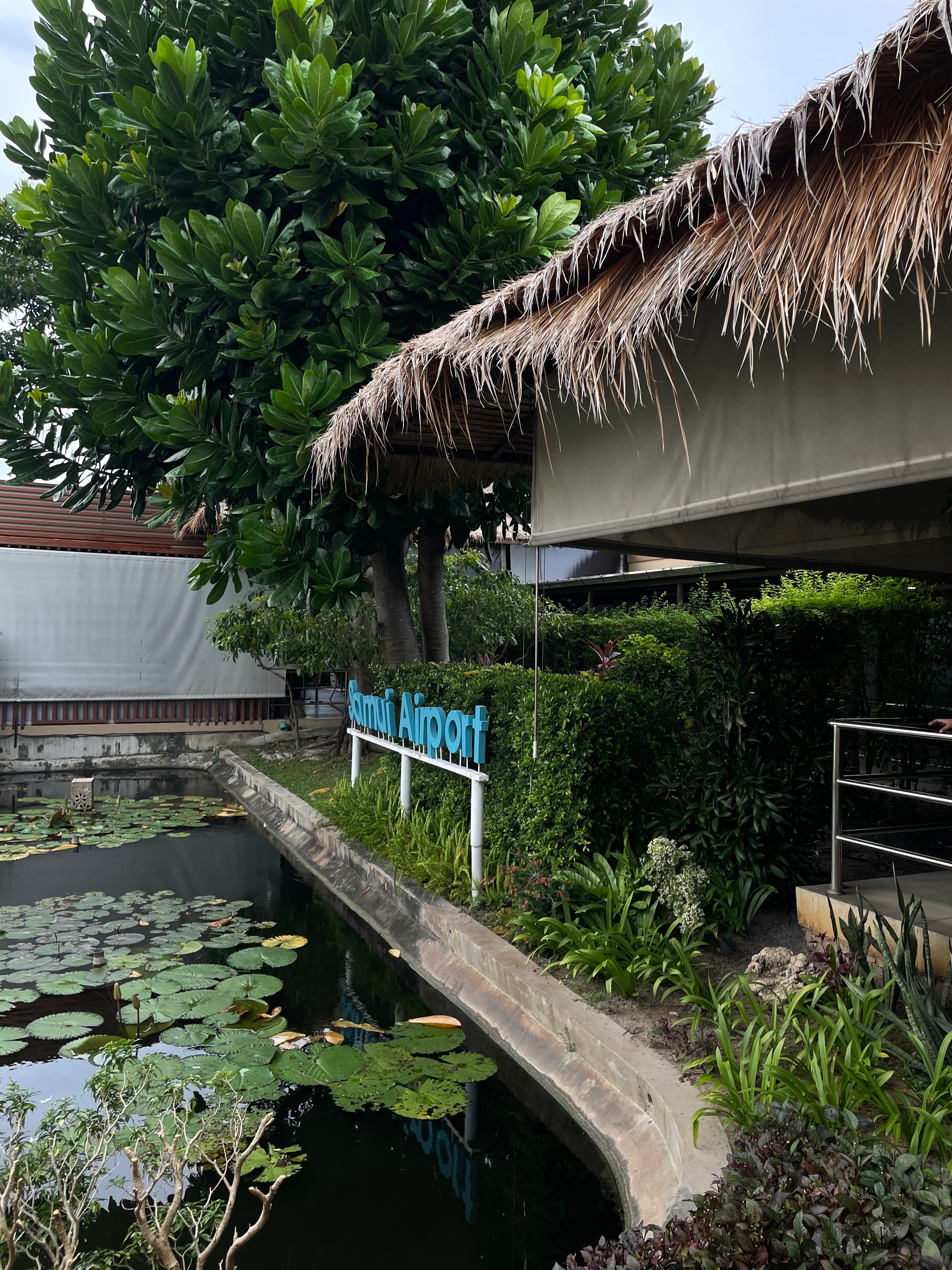 Точка на карте: Таиланд по следам третьего сезона «Белого лотоса» (фото 2)