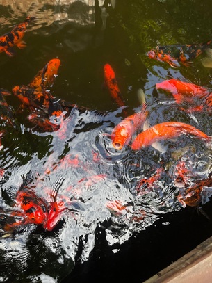 Точка на карте: Таиланд по следам третьего сезона «Белого лотоса» (фото 34)