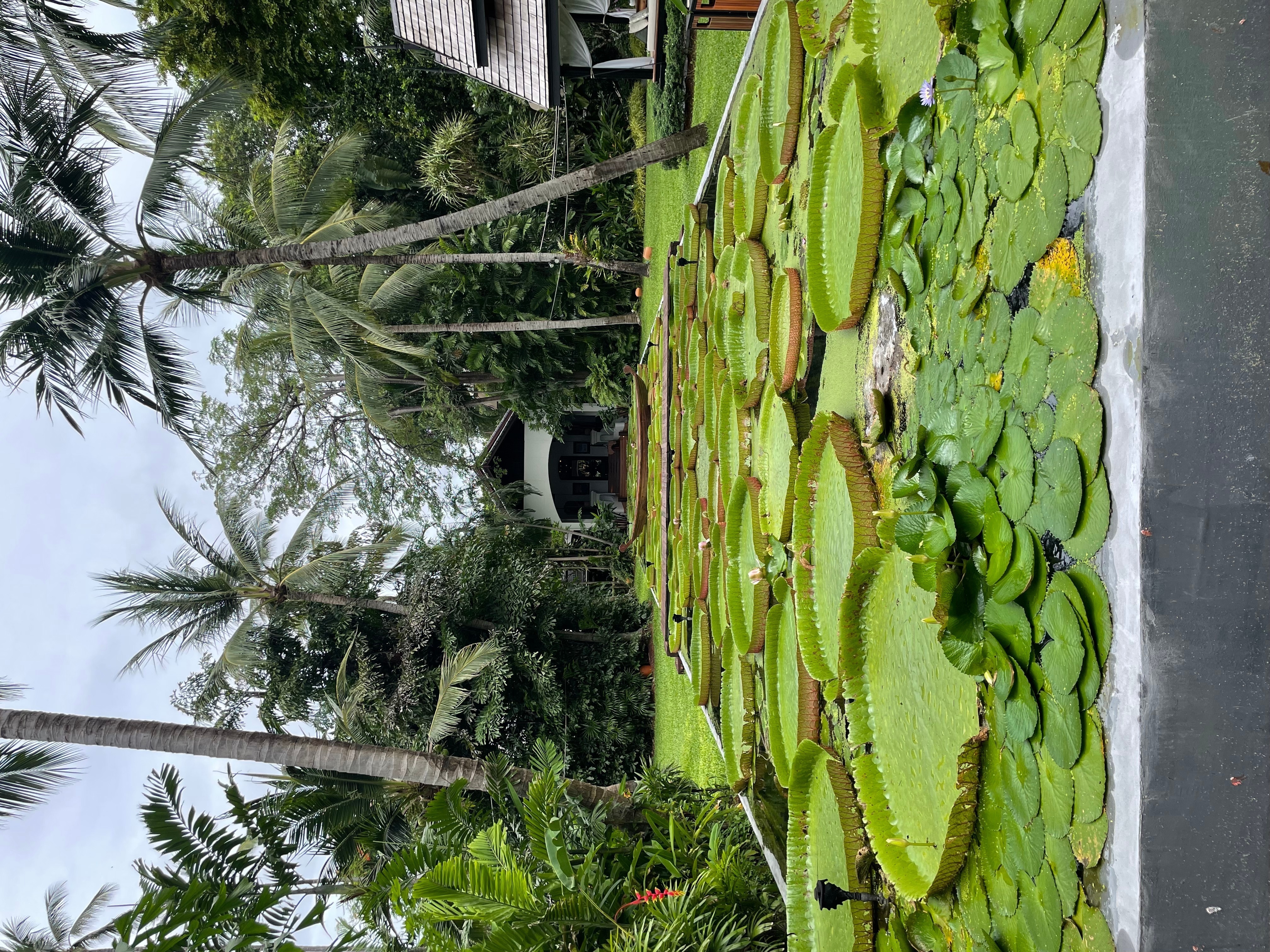 Точка на карте: Таиланд по следам третьего сезона «Белого лотоса» (фото 23)