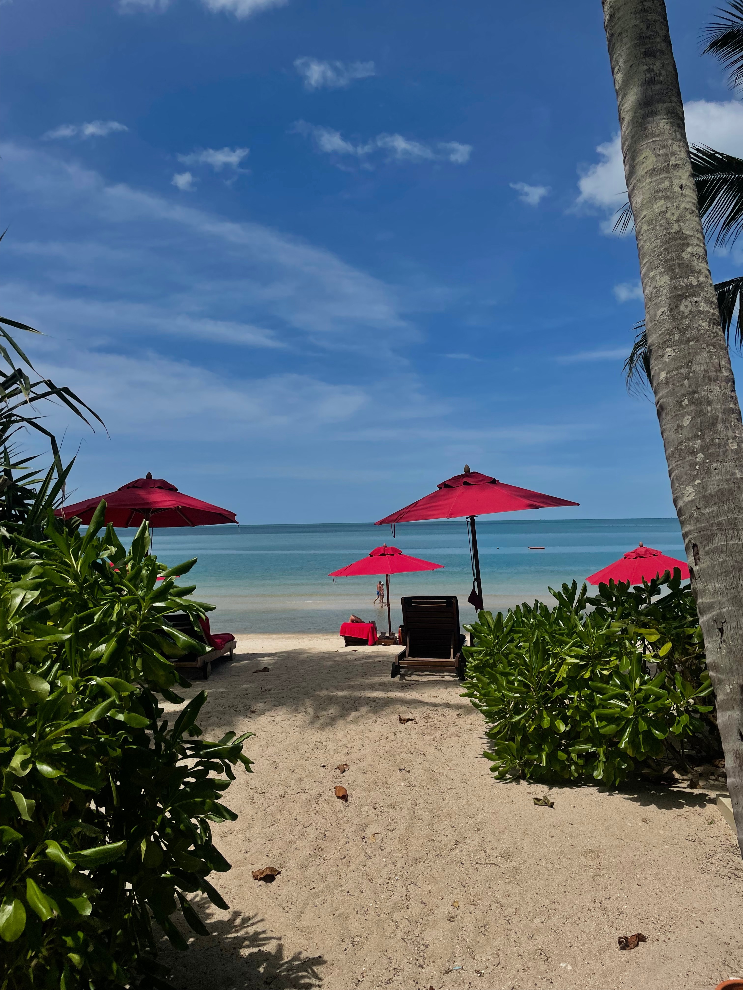 Точка на карте: Таиланд по следам третьего сезона «Белого лотоса» (фото 40)