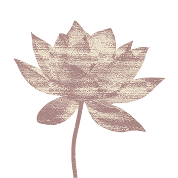 Точка на карте: Таиланд по следам третьего сезона «Белого лотоса» (фото 13)