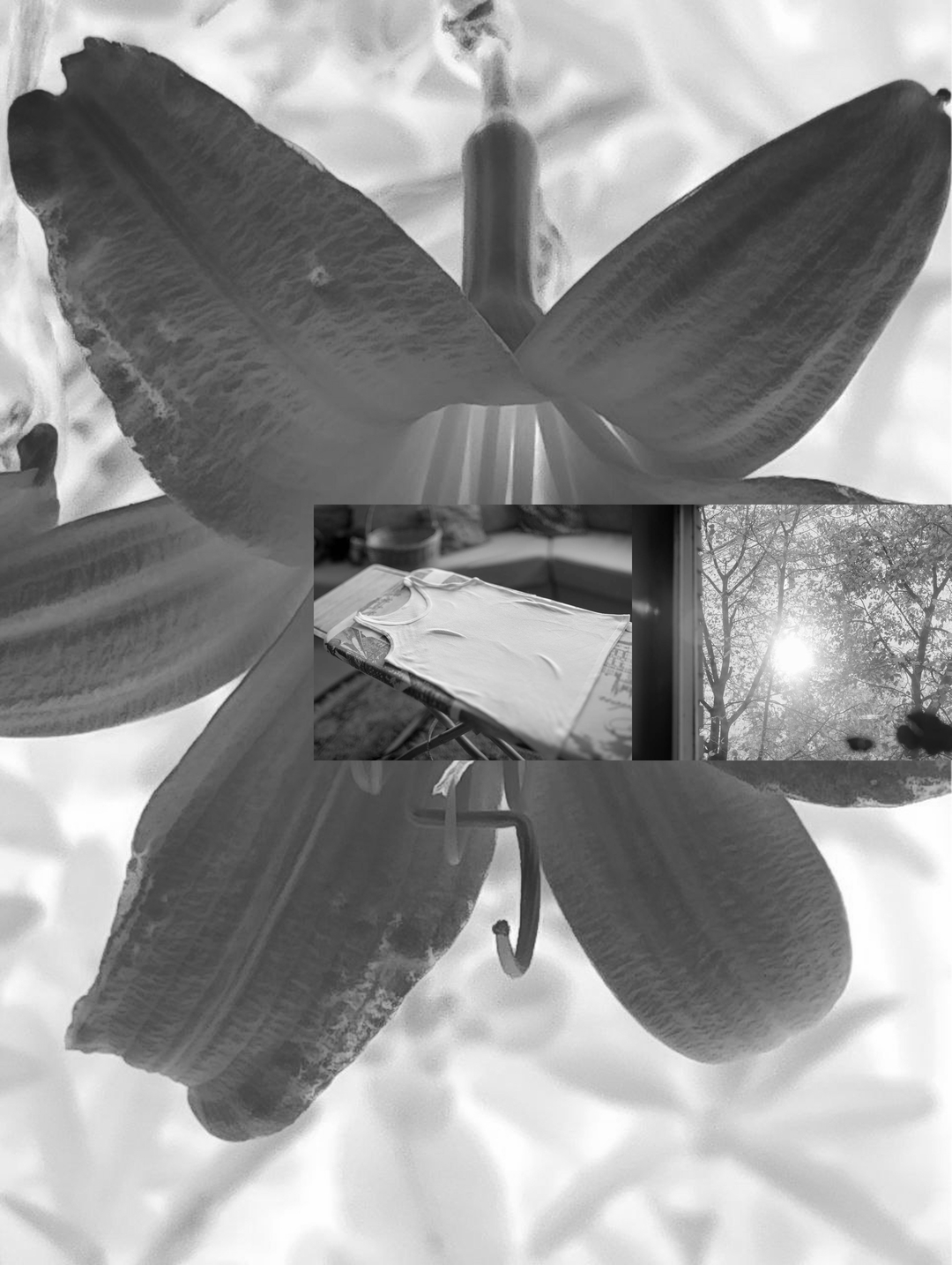 Другая история российской фотографии: что смотреть на выставке «Сообщение» в фонде Ruarts — выбор BURO. (фото 26)