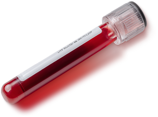 От детского интерната до подпольной операционной: что вы знаете о журналистских расследованиях? (фото 3)