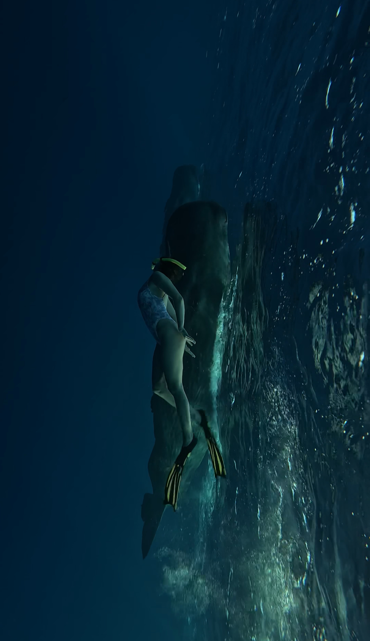 Новая точка на карте: изумрудный остров Маврикий (фото 15)