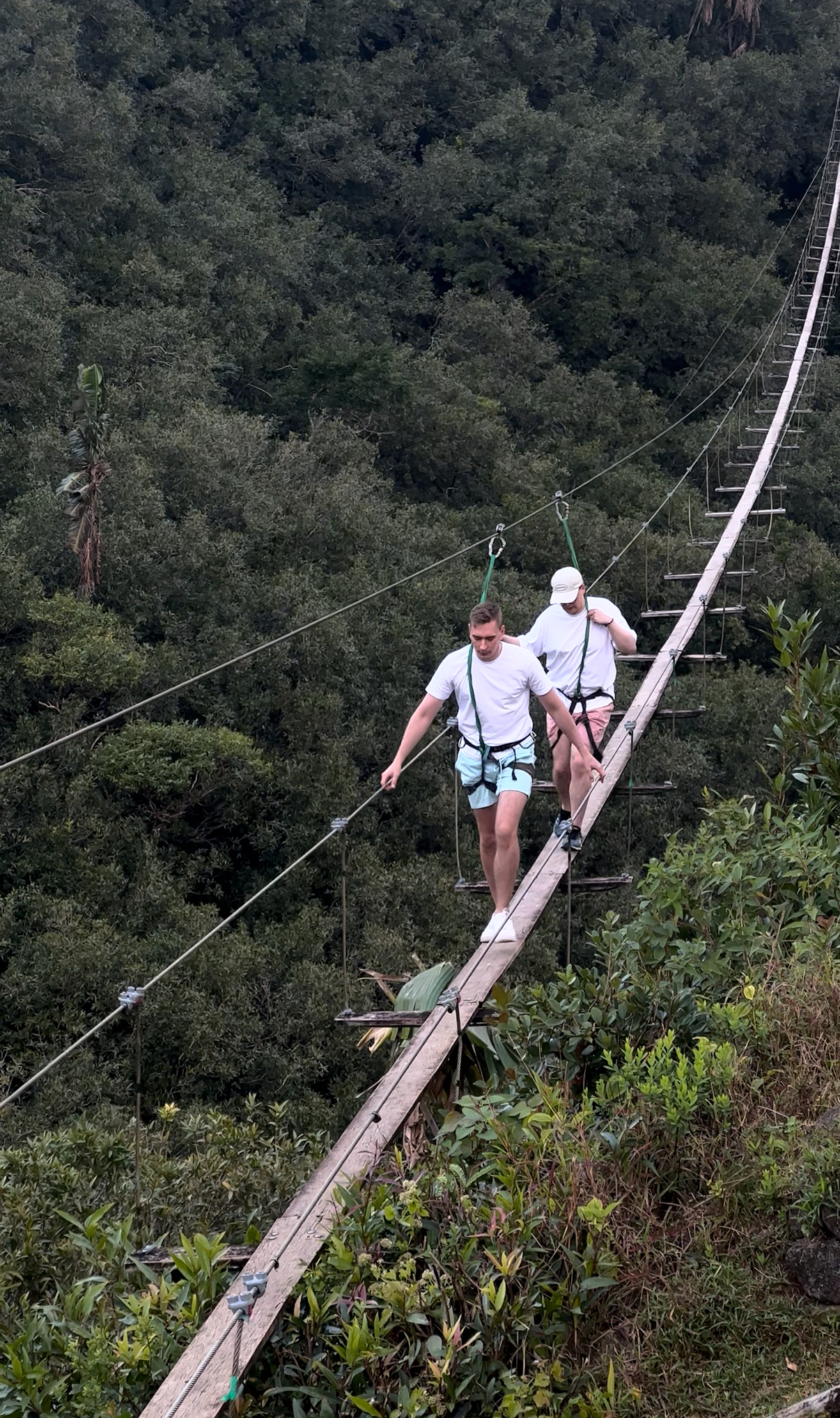 Новая точка на карте: изумрудный остров Маврикий (фото 17)