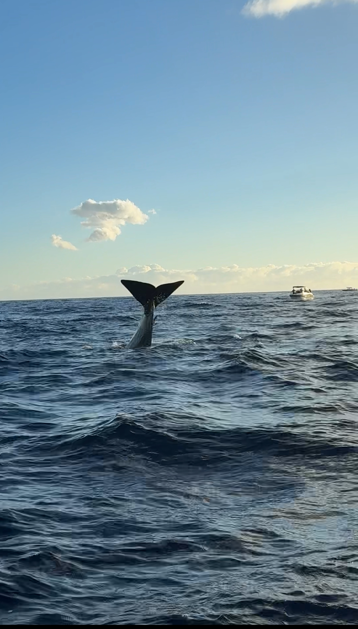 Новая точка на карте: изумрудный остров Маврикий (фото 14)