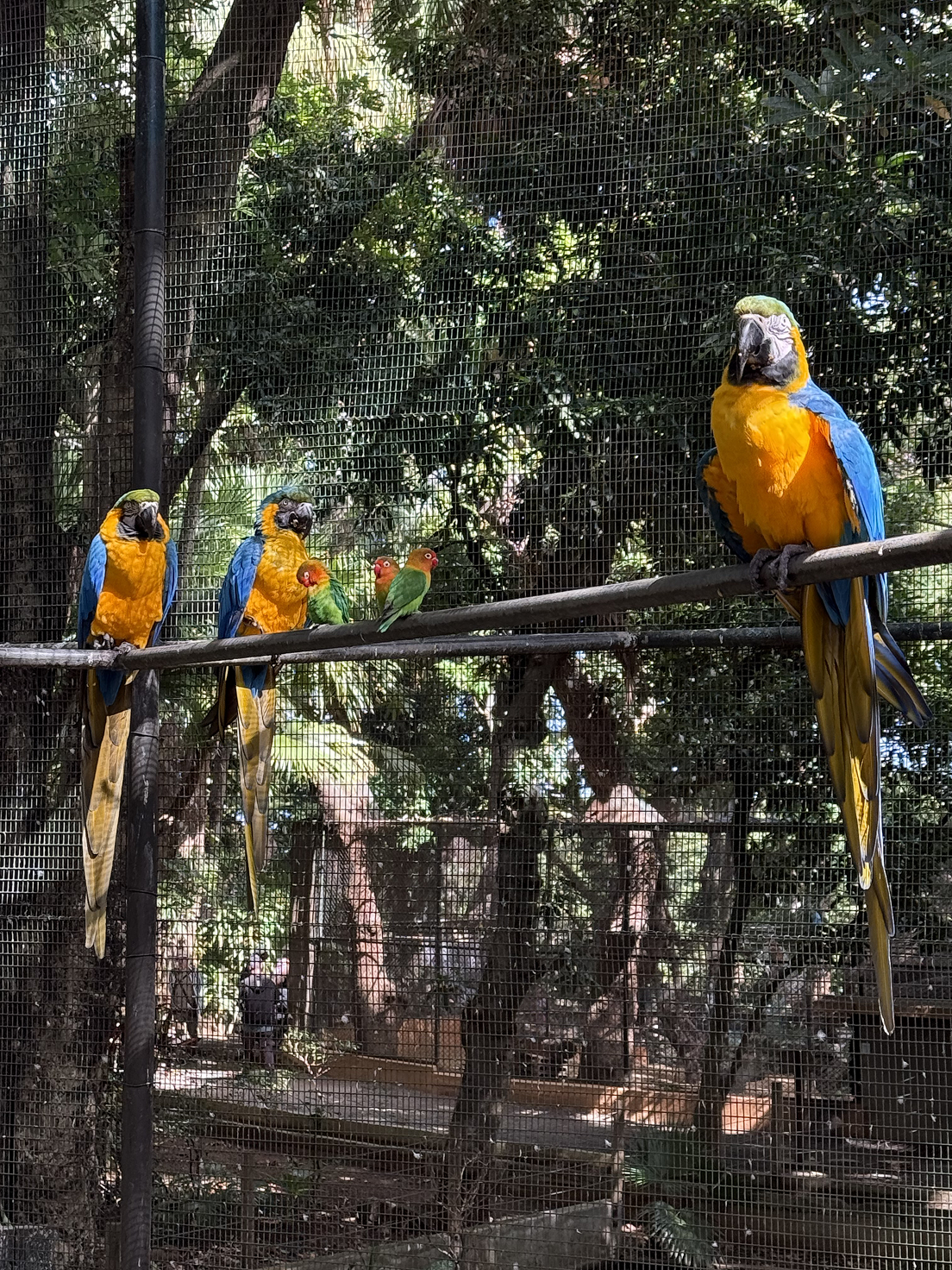 Новая точка на карте: изумрудный остров Маврикий (фото 10)