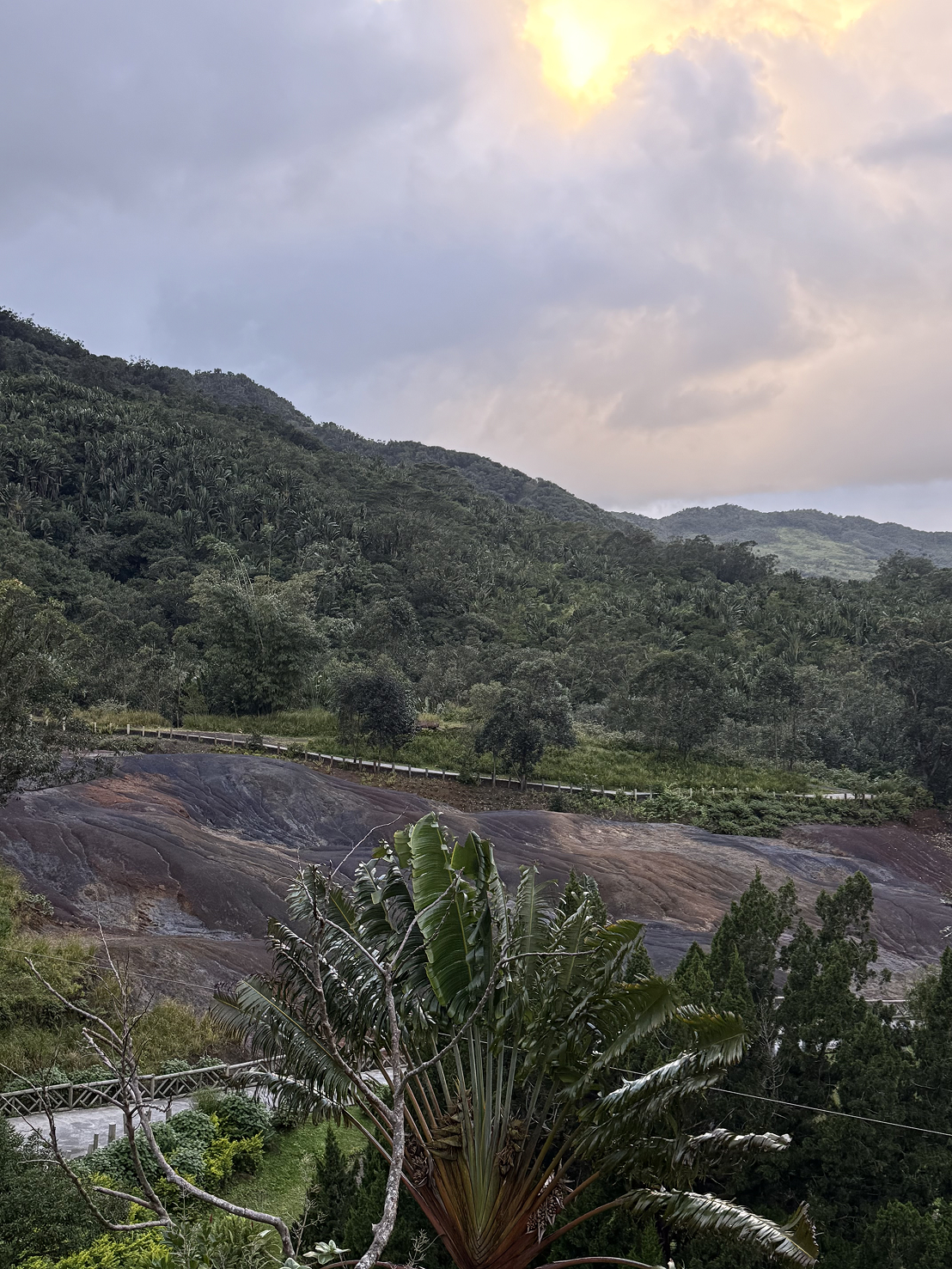 Новая точка на карте: изумрудный остров Маврикий (фото 16)