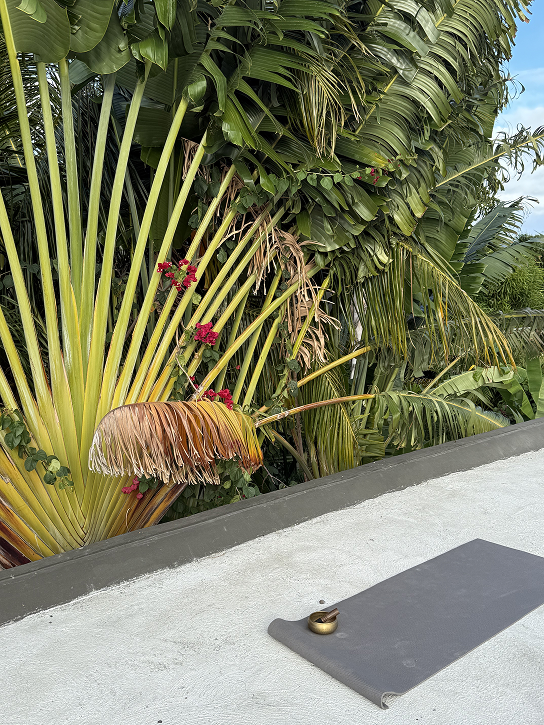 Новая точка на карте: изумрудный остров Маврикий (фото 9)