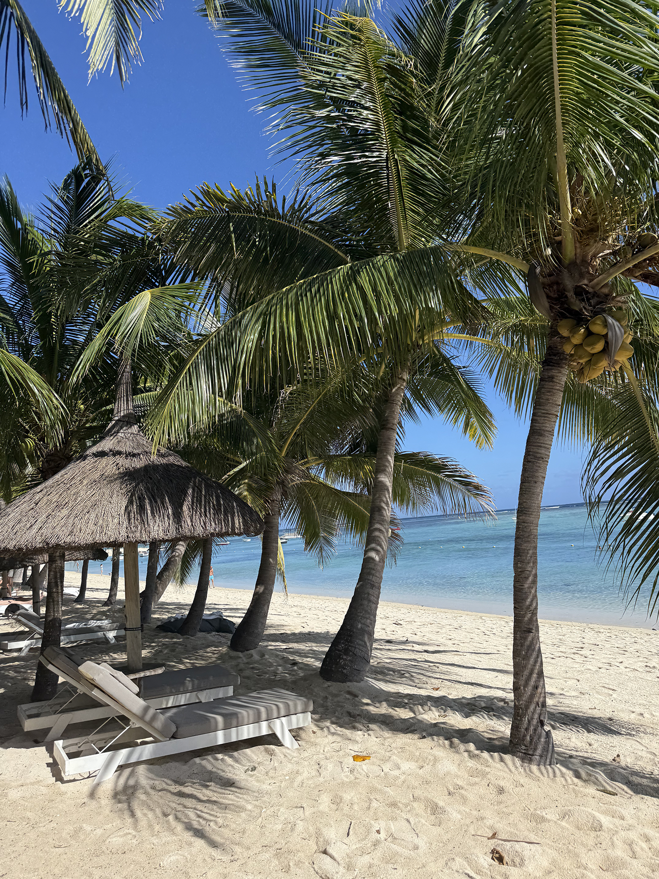 Новая точка на карте: изумрудный остров Маврикий (фото 3)