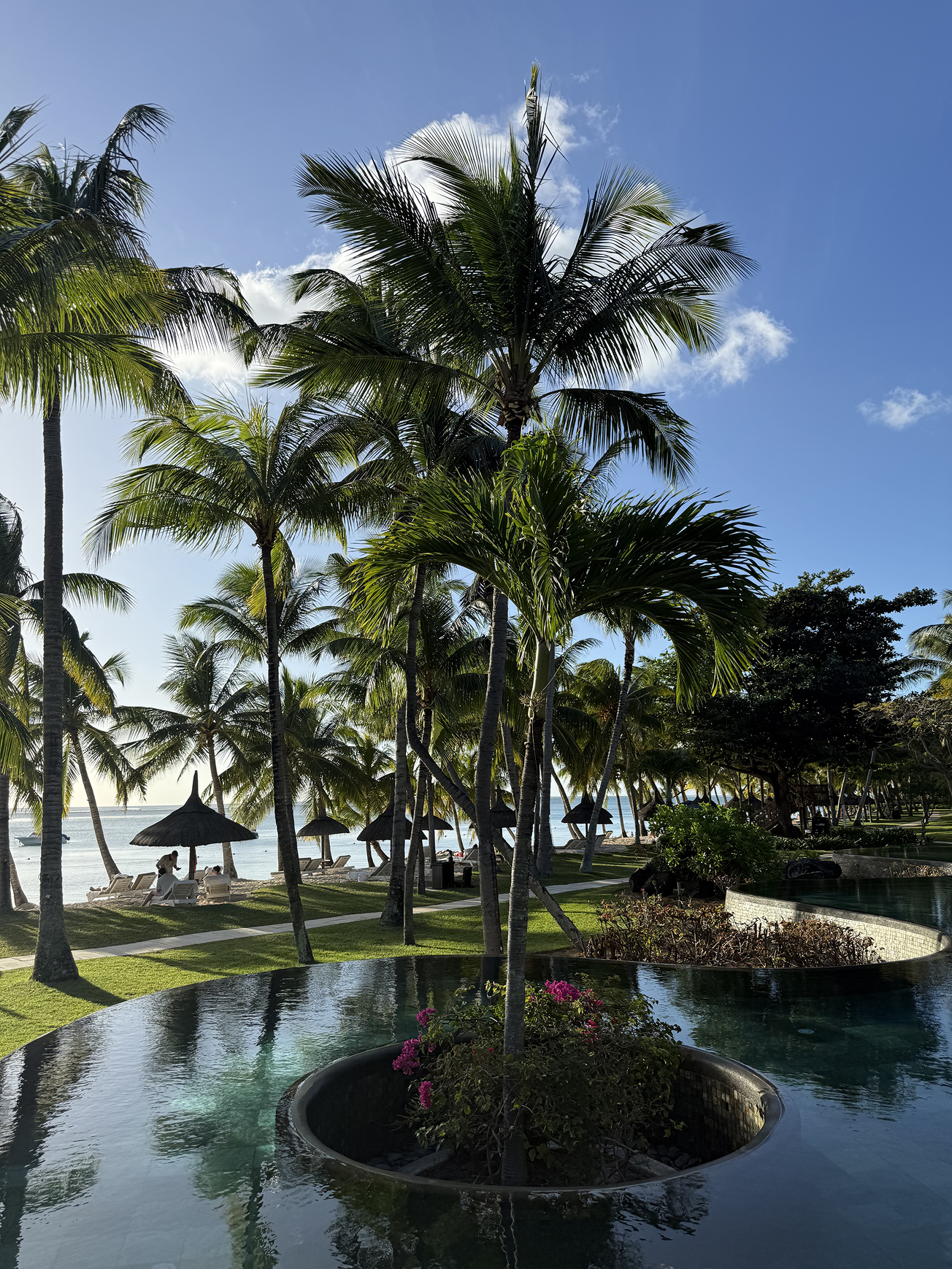 Новая точка на карте: изумрудный остров Маврикий (фото 4)