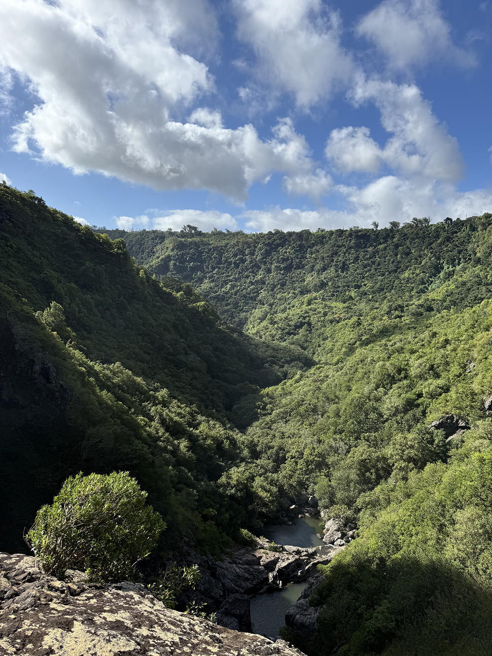 Новая точка на карте: изумрудный остров Маврикий (фото 21)
