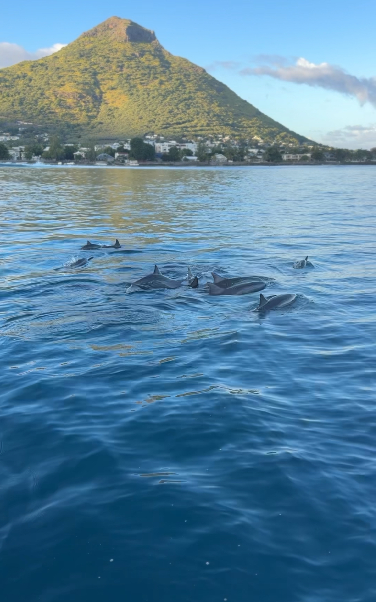 Новая точка на карте: изумрудный остров Маврикий (фото 25)