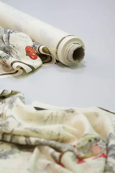 Лесовички, мухоморы и гравюры Тома де Томона: какой получилась коллекция OLA OLA осень-зима 2025 (фото 19)