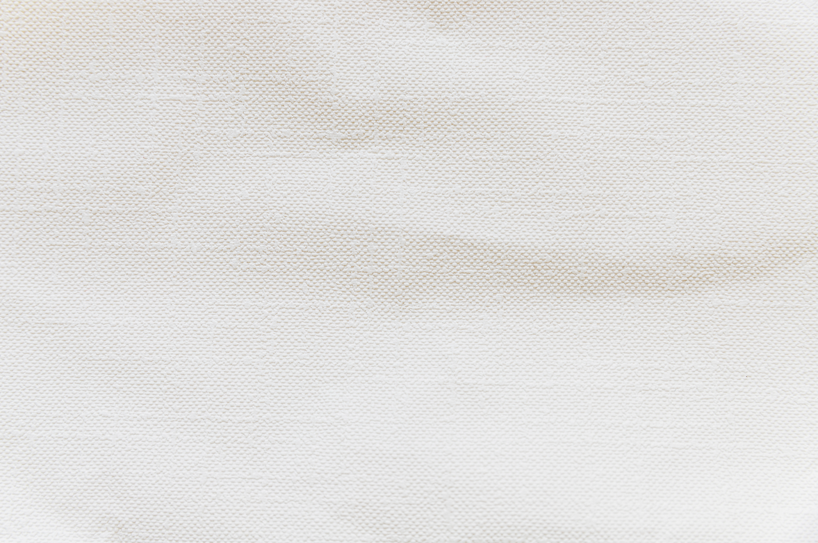 Лесовички, мухоморы и гравюры Тома де Томона: какой получилась коллекция OLA OLA осень-зима 2025 (фото 1)