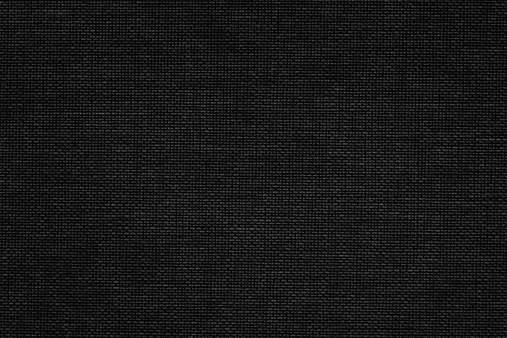 Лесовички, мухоморы и гравюры Тома де Томона: какой получилась коллекция OLA OLA осень-зима 2025 (фото 27)