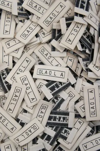 Лесовички, мухоморы и гравюры Тома де Томона: какой получилась коллекция OLA OLA осень-зима 2025 (фото 23)