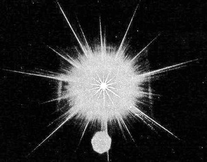 Сила трех: как сериал «Зачарованные» стал феминистским манифестом своей эпохи (фото 40)