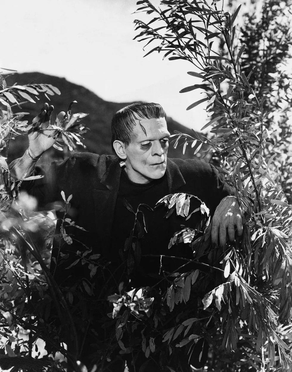 От классических фильмов Джеймса Уэйла до Гильермо Дель Торо: как менялся образ Франкенштейна на экране (фото 18)