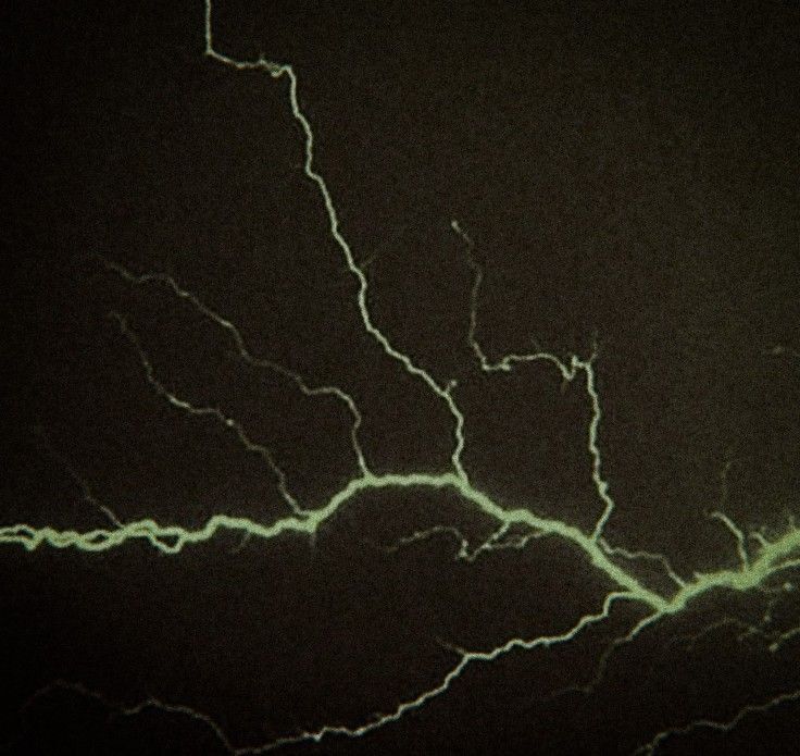 От классических фильмов Джеймса Уэйла до Гильермо Дель Торо: как менялся образ Франкенштейна на экране (фото 61)